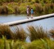 Jardin Niel toulouse Luxe Barry Curtis Park isthmus