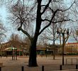 Jardin Nimes Best Of Esplanade Charles De Gaulle Nimes 2020 All You Need to