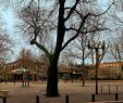 Jardin Nimes Best Of Esplanade Charles De Gaulle Nimes 2020 All You Need to