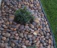 Jardin original Charmant 30 Fancy Garden Decorating Ideas with Rocks and Stones