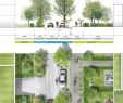 Jardin Paysagé Élégant 75 Best Architectural Sketches Images In 2020