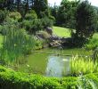 Jardin Paysager Élégant Bassin Jardinage — Wikipédia