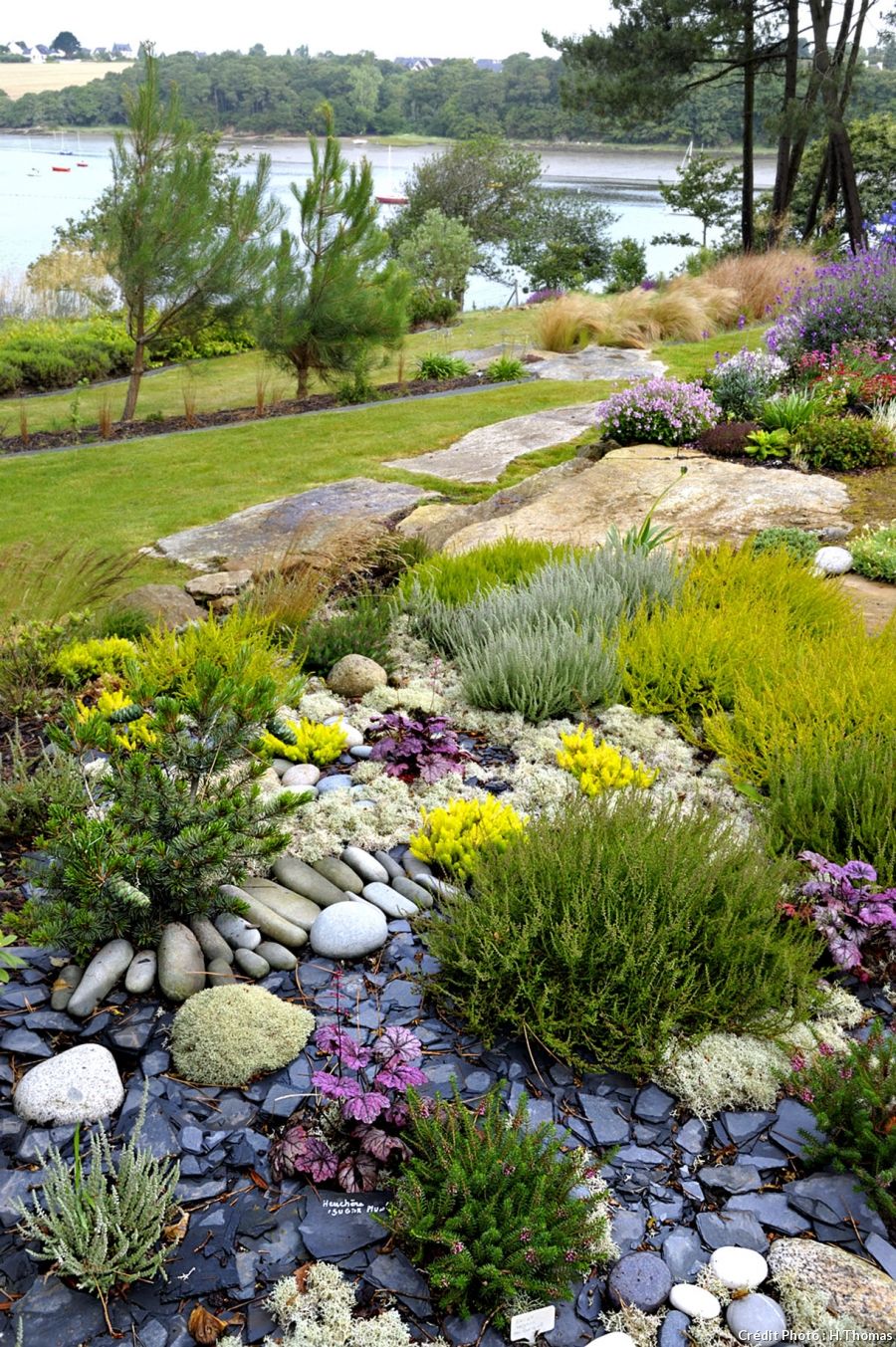 Jardin Paysager Élégant Un Jardin Breton D Agapanthes Et D Hortensias Bleus