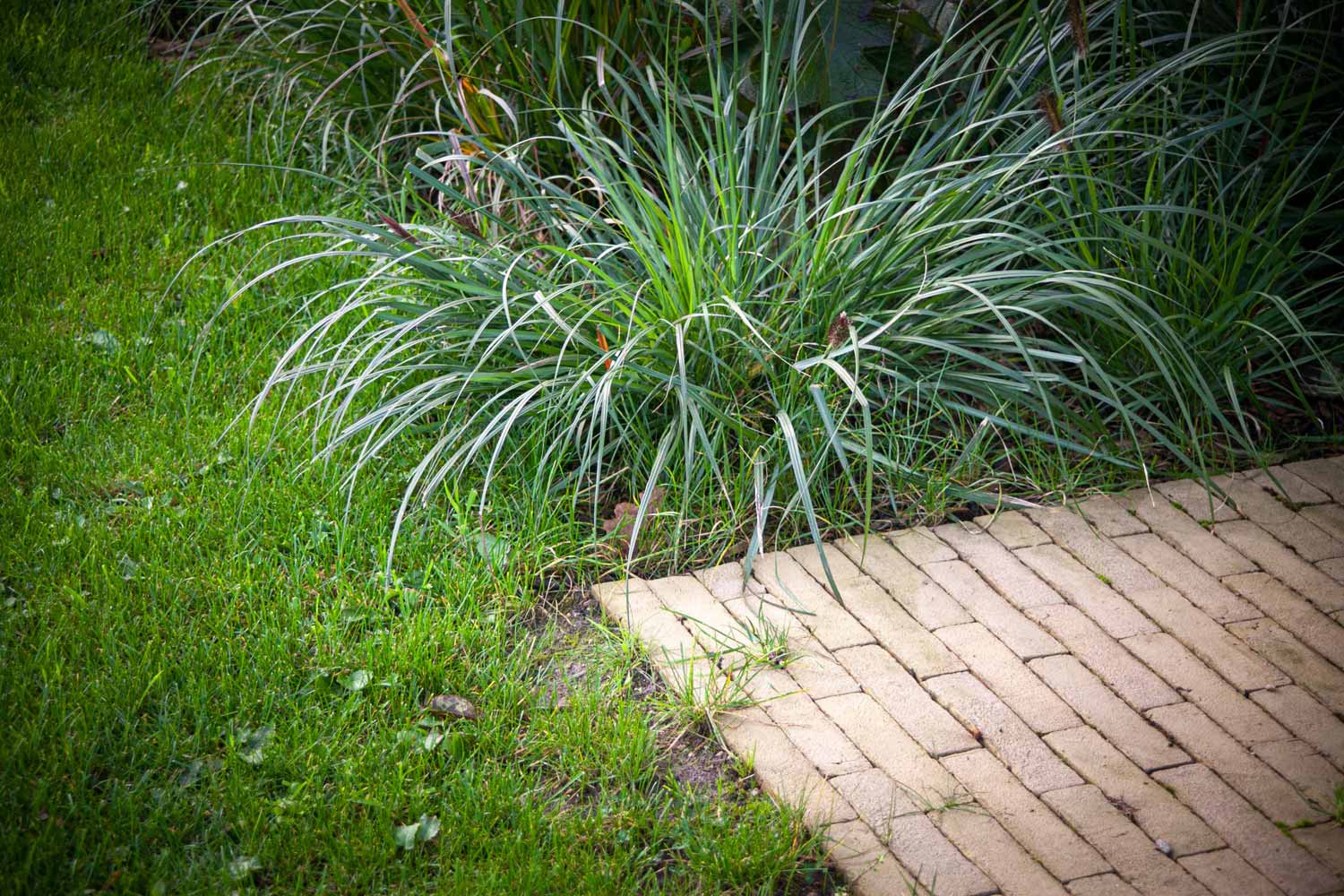 Jardin Paysager Exemple Beau Jardin Sur Mesure Ar Bradenn Créateur De Jardins Sur Mesure