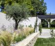 Jardin Paysager Exemple Best Of Jardin Méditerranéen Contemporain Agence Morvant &amp