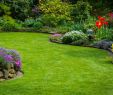 Jardin Paysager Exemple Best Of Mentions Légales Du D Abel Paysages Paysagiste   Marzan