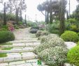 Jardin Paysager Exemple Best Of Narmino Jardins Création Et Entretien De Jardins   Monaco
