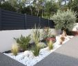 Jardin Paysager Exemple Génial Jardin Paysager Exemple Cl´tures Aluminium Mod¨le Brise Vue