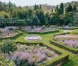Jardin Paysager Exemple Génial News Bruno Suet Photographe De Deco Portrait Jardin