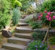 Jardin Paysager Exemple Inspirant Escalier De Jardin Aménagement D Escalier Extérieur