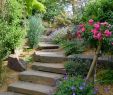 Jardin Paysager Exemple Inspirant Escalier De Jardin Aménagement D Escalier Extérieur