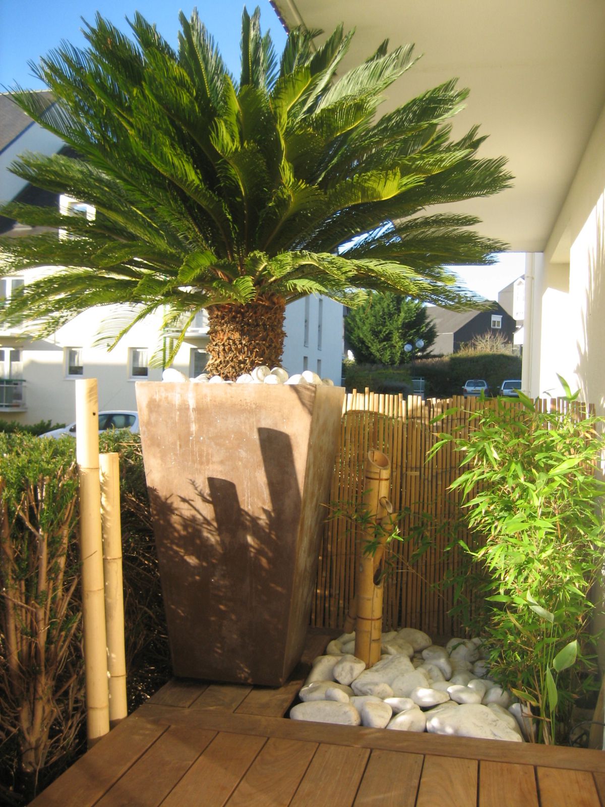 Jardin Paysager Exemple Nouveau Album Olivier Et Palmier Arbor Mineral Paysagiste