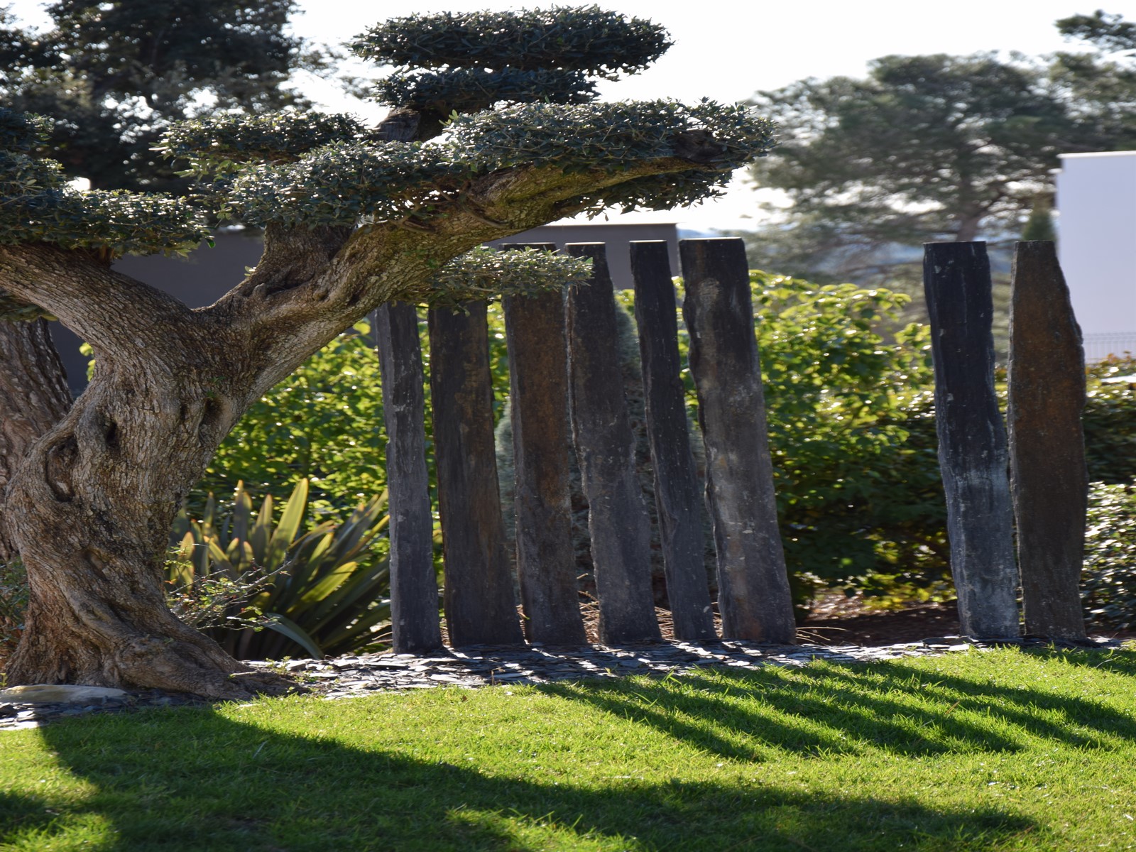 architecte paysagiste montpellier jardin exotique