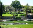 Jardin Paysager Inspirant Fleurs Fruits Légumes Jardins Déco