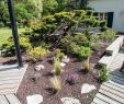 Jardin Paysager Luxe Amenagement butte Exterieur – Gamboahinestrosa