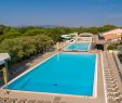 Jardin Piscine Charmant Douce Quiétude Camping De Luxe Var Saint Rapha L