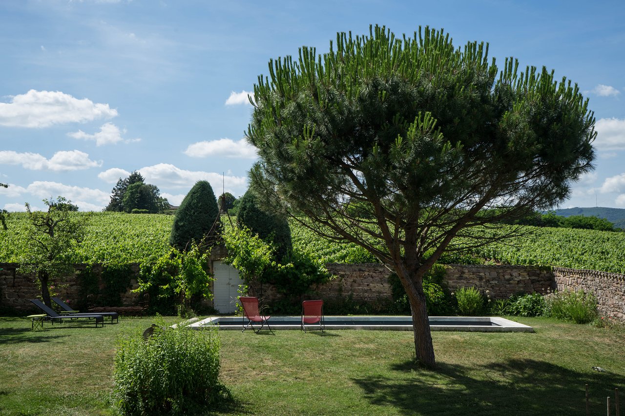 jardin avec piscine et