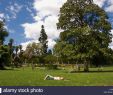 Jardin Public Bordeaux Beau Jardin Public Public Park In the City Bordeaux France