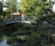 Jardin Public Bordeaux Charmant File Jardin Public Bordeaux Wikimedia