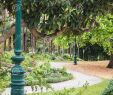 Jardin Public Bordeaux Frais French Traditional Garden In the Parc Jardin Public Stock