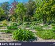 Jardin Public Bordeaux Inspirant France Gironde Bordeaux Botanical Garden Of the Jardin