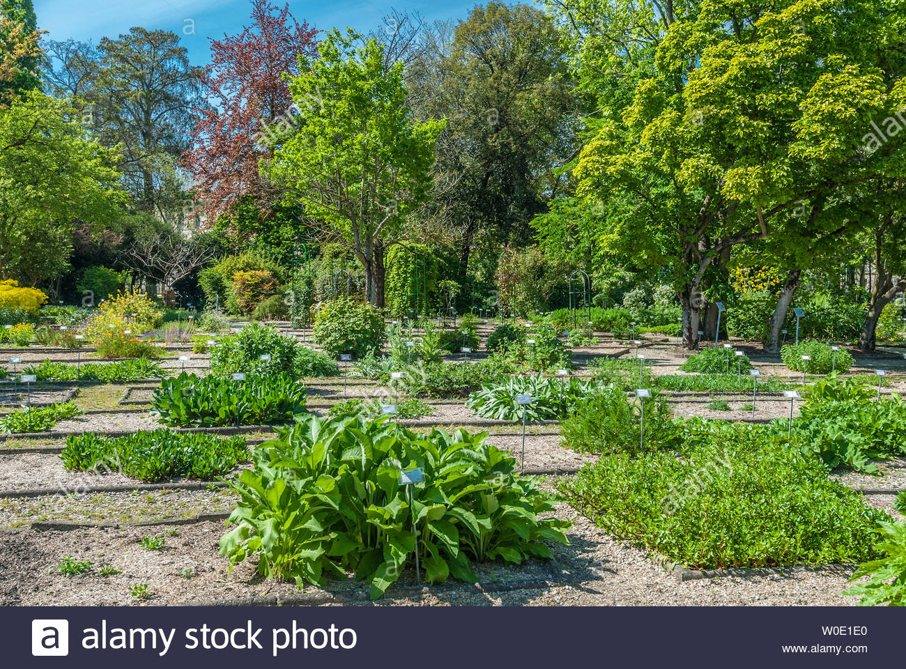 france gironde bordeaux botanical garden of the jardin public W0E1E0