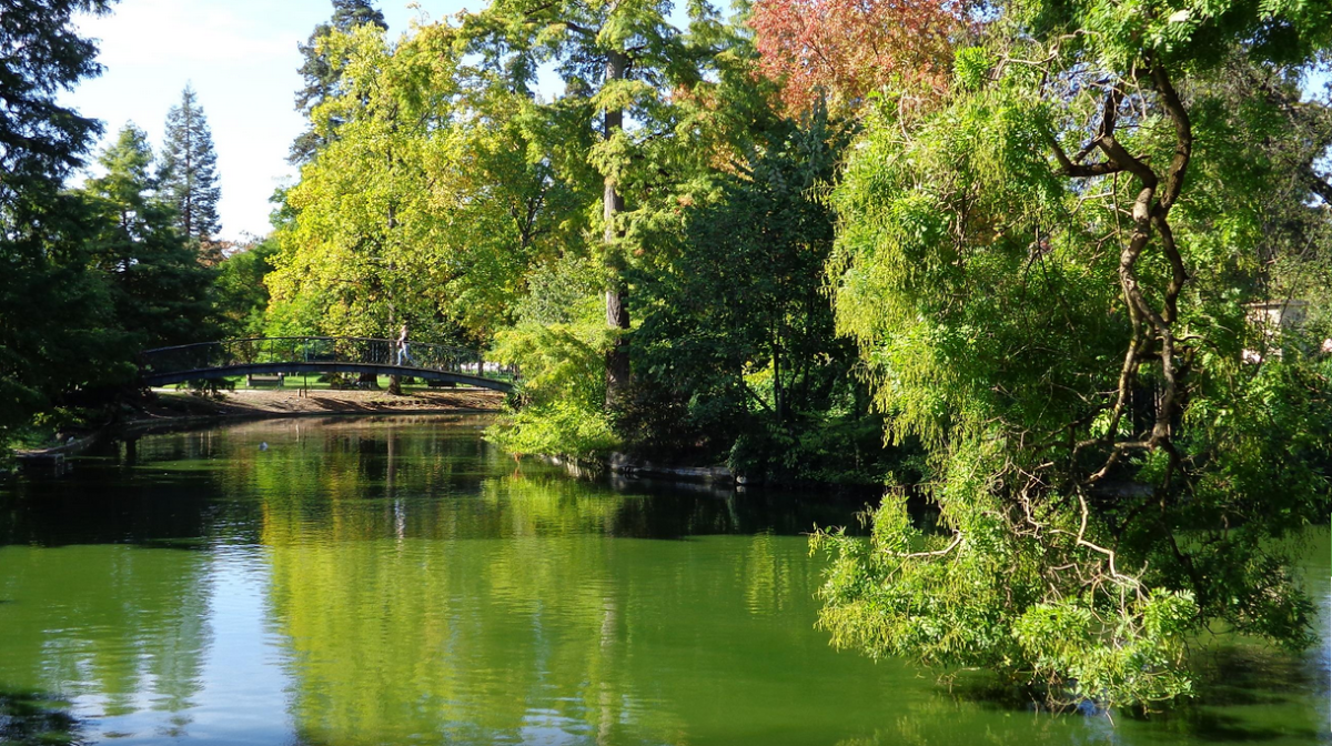 Jardin Public Bordeaux Luxe Jardin Public Garden Bordeaux Centre