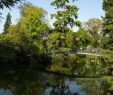 Jardin Public Bordeaux Luxe Jardin Public Public Garden Le Map Bordeaux Local City