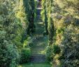 Jardin Rayol Canadel Beau Conservatoire Botanique Stock S & Conservatoire