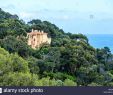 Jardin Rayol Canadel Frais Conservatoire Botanique Stock S & Conservatoire