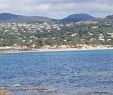 Jardin Rayol Canadel Frais Plage De La Nartelle Sainte Maxime 2020 All You Need to