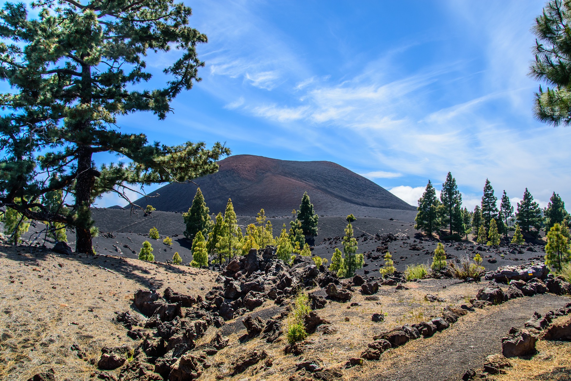 Jardin Rayol Canadel Frais Tenerife Property Shop S L Tenerife Airport Car Hire