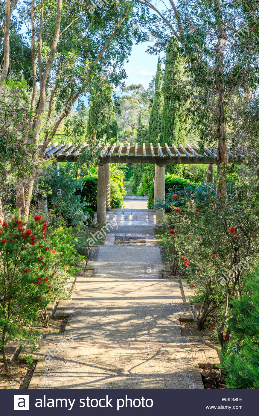 france var rayol canadel sur mer the domaine du rayol mediterranean garden property of the conservatoire du littoral pergola in the australian g W3DM05