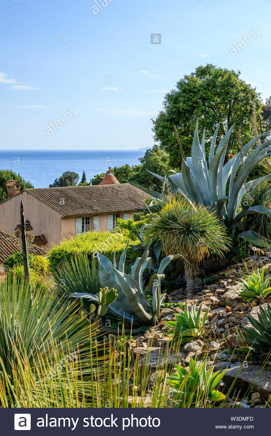 france var rayol canadel sur mer the domaine du rayol mediterranean garden property of the conservatoire du littoral the californian garden and W3DMFD