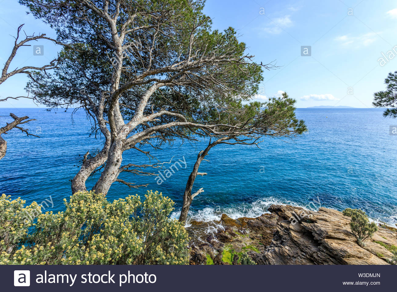 france var rayol canadel sur mer the domaine du rayol mediterranean garden property of the conservatoire du littoral view on the sea from the po W3DMJN