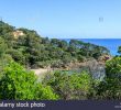 Jardin Rayol Canadel Inspirant Conservatoire Botanique Stock S & Conservatoire