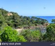 Jardin Rayol Canadel Inspirant Conservatoire Botanique Stock S & Conservatoire