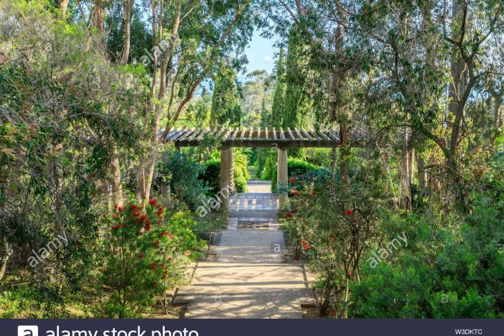 Jardin Rayol Canadel Inspirant Conservatoire Botanique Stock S &amp; Conservatoire