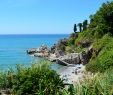 Jardin Rayol Canadel Inspirant Nerja Beach Guide Carabeillo Beach