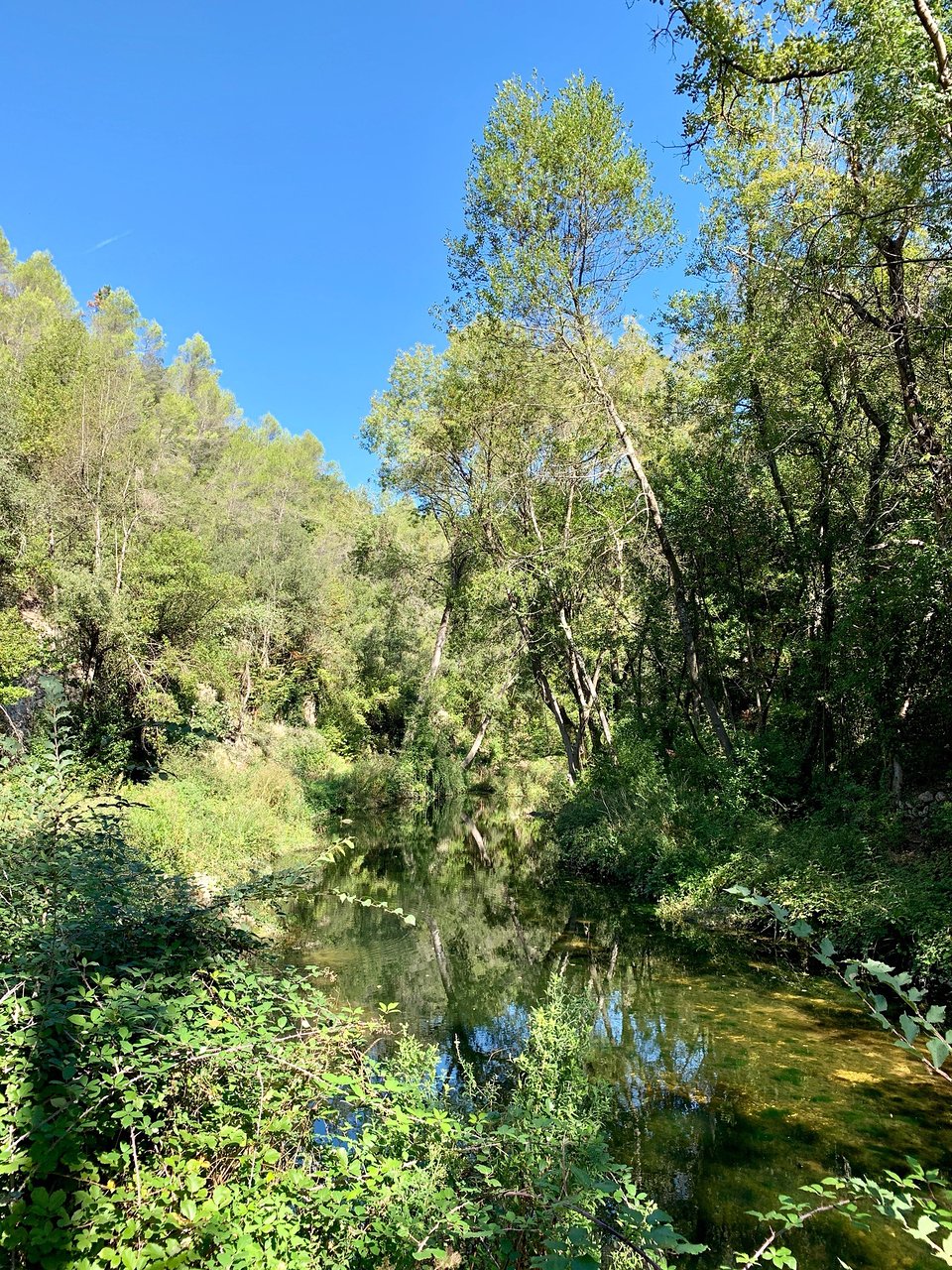 Jardin Rayol Canadel Inspirant Sentier De La Vallee De La Brague Valbonne 2020 All You