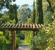 Jardin Rayol Canadel Luxe Conservatoire Botanique Stock S & Conservatoire