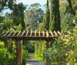 Jardin Rayol Canadel Luxe Conservatoire Botanique Stock S & Conservatoire