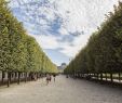 Jardin Royal Charmant H´tel Pavillon Louvre Rivoli