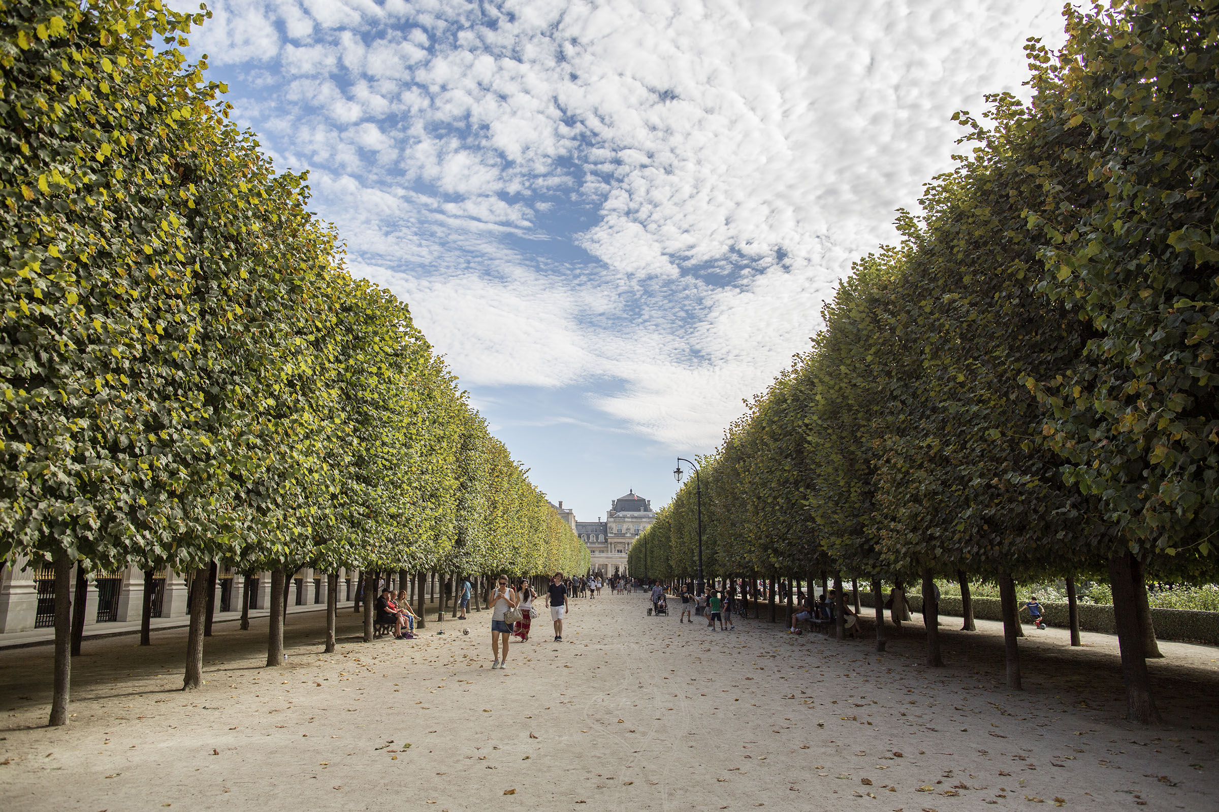 palais royal hand in paris