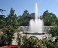 Jardin Royal Frais Fountain In "the Jardin Des Plantes" First Botanical Garden