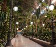 Jardin Royal Inspirant atocha Station Greenhouse Garden In Madrid 23 Reviews and