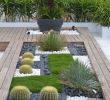Jardin Sans Arrosage Best Of épinglé Sur Intérieur Design