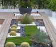 Jardin Sans Arrosage Best Of épinglé Sur Intérieur Design