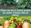 Jardin Sans Arrosage Élégant épinglé Par Patty Verbeke Sur Gardens En 2020 Avec Images