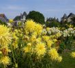 Jardin Septembre Best Of Thabor Park – Rennes – tourist attractions Tropter
